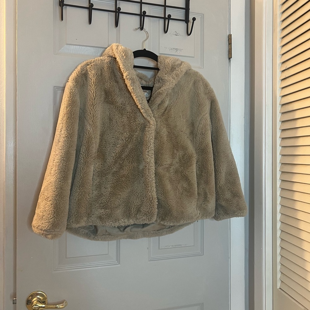 Winter Coat View 2